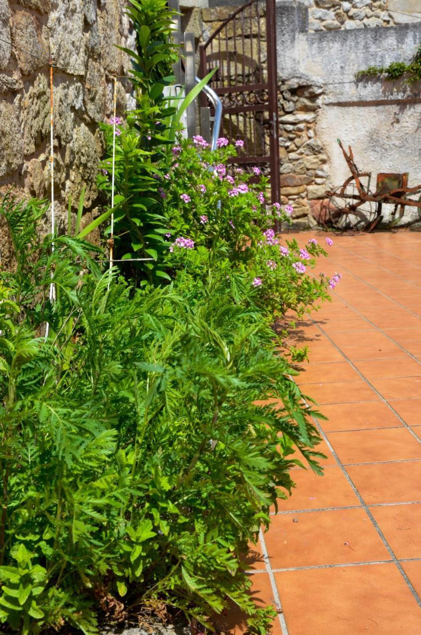 Sursum Corda Otel Ribeira Dış mekan fotoğraf